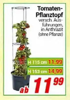 CENTERSHOP Tomaten-pflanztopf Angebot