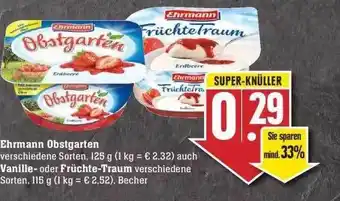 Edeka Ehrmann Obstgarten Vanille Oder Früchte Traum Angebot