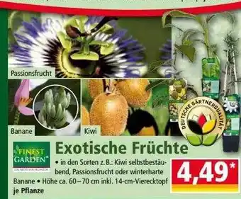 Norma Finest Garden Exotische Früchte Angebot