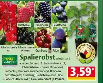 Norma Finest Garden Spalierobst Angebot