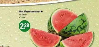 V Markt Mini Wassermelonen Angebot