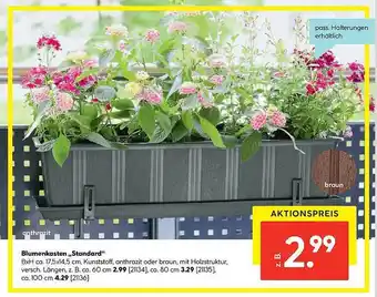 Hellweg Blumenkasten „standard” Angebot