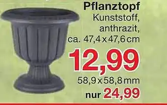 Jawoll Pflanztopf Angebot