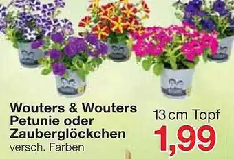 Jawoll Wounters & Wouters Petunie Oder Zauberglöckchen Angebot