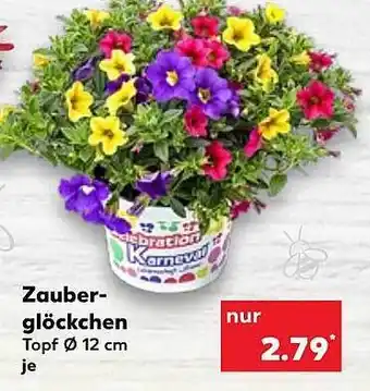 Kaufland Zauberglöckchen Angebot