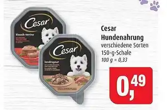 Markant Cesar Hundenahrung Angebot