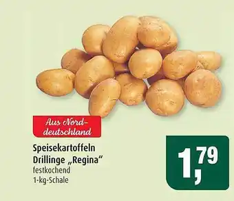 Markant Speisekartofeln Drlinge „regina” Angebot