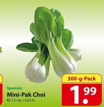 Famila Nord Ost Mini-pak choi Angebot