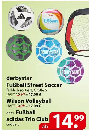 Famila Nord Ost Derbystar fußball street soccer, wilson volleyball oder fußball adidas trio club Angebot