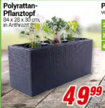 CENTERSHOP Polyrattan-Pflanztopf Angebot