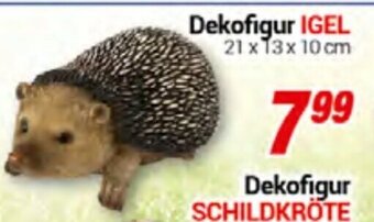CENTERSHOP Dekofigur IGEL Angebot