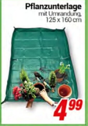 CENTERSHOP Pflanzunterlage Angebot