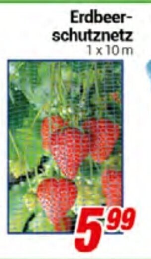 CENTERSHOP Erdbeerschutznetz Angebot