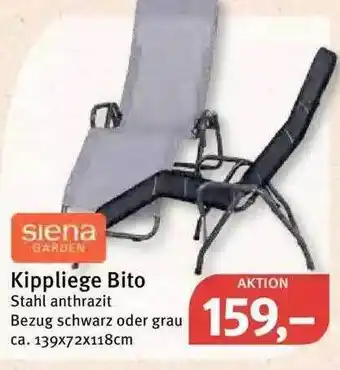 Feneberg Siena Kippliege Bito Angebot