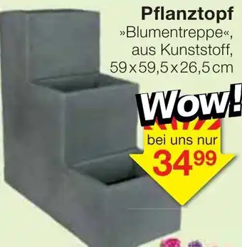 Jawoll Pflanztopf Angebot