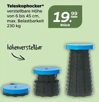 NETTO Teleskophocker Angebot