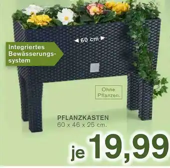 KODi Pflanzkasten Angebot