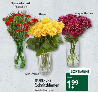 Aldi Nord Gardenline Schnittblumen Angebot