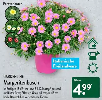 Aldi Nord Gardenline Margeritenbusch Angebot