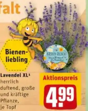 REWE City Lavendel XL Angebot