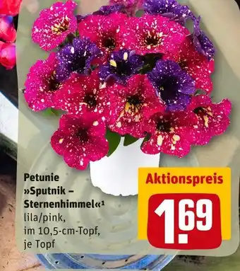 REWE Petunie sputnik – sternenhimmel Angebot