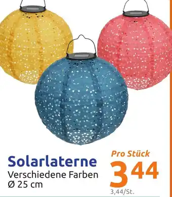 Action Solarlaterne Angebot