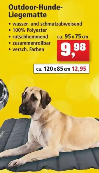 Thomas Philipps Outdoor Hunde Liegematte Angebot