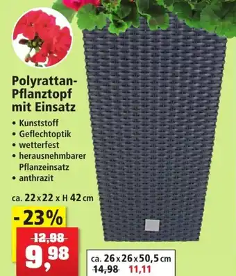 Thomas Philipps Polyrattan Pflanztopf mit Einsatz Angebot