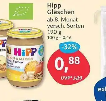 Budni Hipp Gläschen Angebot