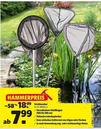 Hagebau Teichkescher Angebot