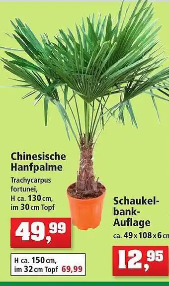 Thomas Philipps Chinesische Hanfpalme Oder Schaukelbank-auflage Angebot