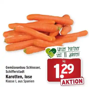 Wasgau Karotten, lose Angebot