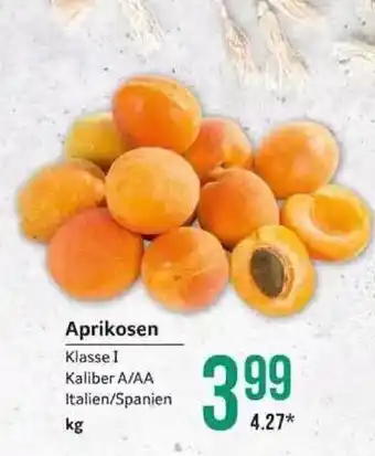 Selgros Aprikosen Angebot