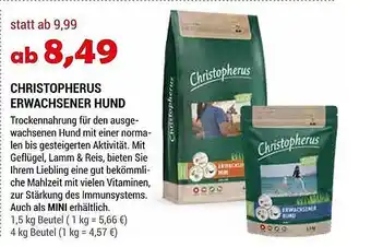 Zookauf Christopherus Erwachsener Hund Angebot