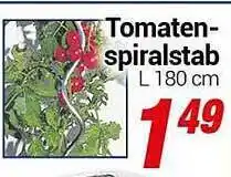 CENTERSHOP Tomaten-spiralstab Angebot