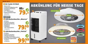 Globus Baumarkt Air Cooler 65 Watt, Led-deckenleuchte „moorea“ Oder „patrick“ Angebot