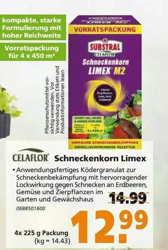 Globus Baumarkt Celaflor Schneckenkorn Limex Angebot