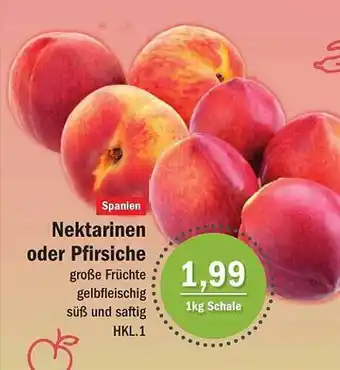 Aktiv Irma Nektarinen Oder Pfirsiche Angebot