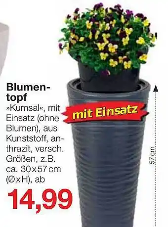 Jawoll Blumentopf Kumsal Angebot