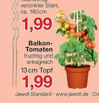 Jawoll Balkon-tomaten Angebot