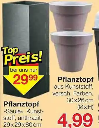 Jawoll Pflanztopf Angebot