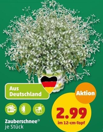 PENNY Zauberschnee Angebot