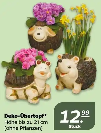 NETTO Deko übertopf Angebot