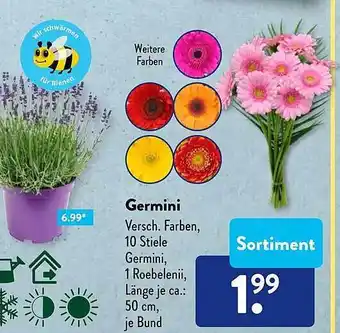 Aldi Süd Germini Angebot