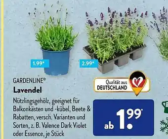 Aldi Süd Gardenline Lavendel Angebot