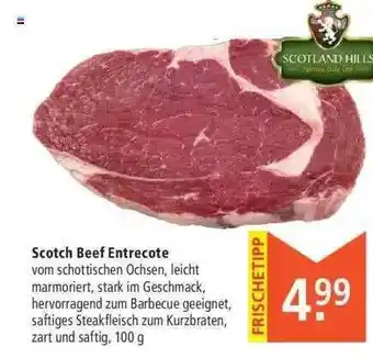 Marktkauf Scotch Beef Entrecote Angebot