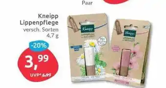 Budni Kneipp Lippenpflege Angebot