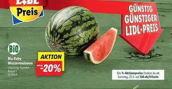 Lidl Bio Baby Wassermelonen Angebot