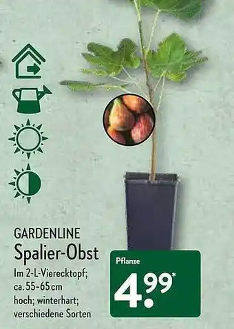 Aldi Nord Gardenline Spalier-obst Angebot