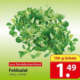 Famila Nord Ost Feldsalat Angebot
